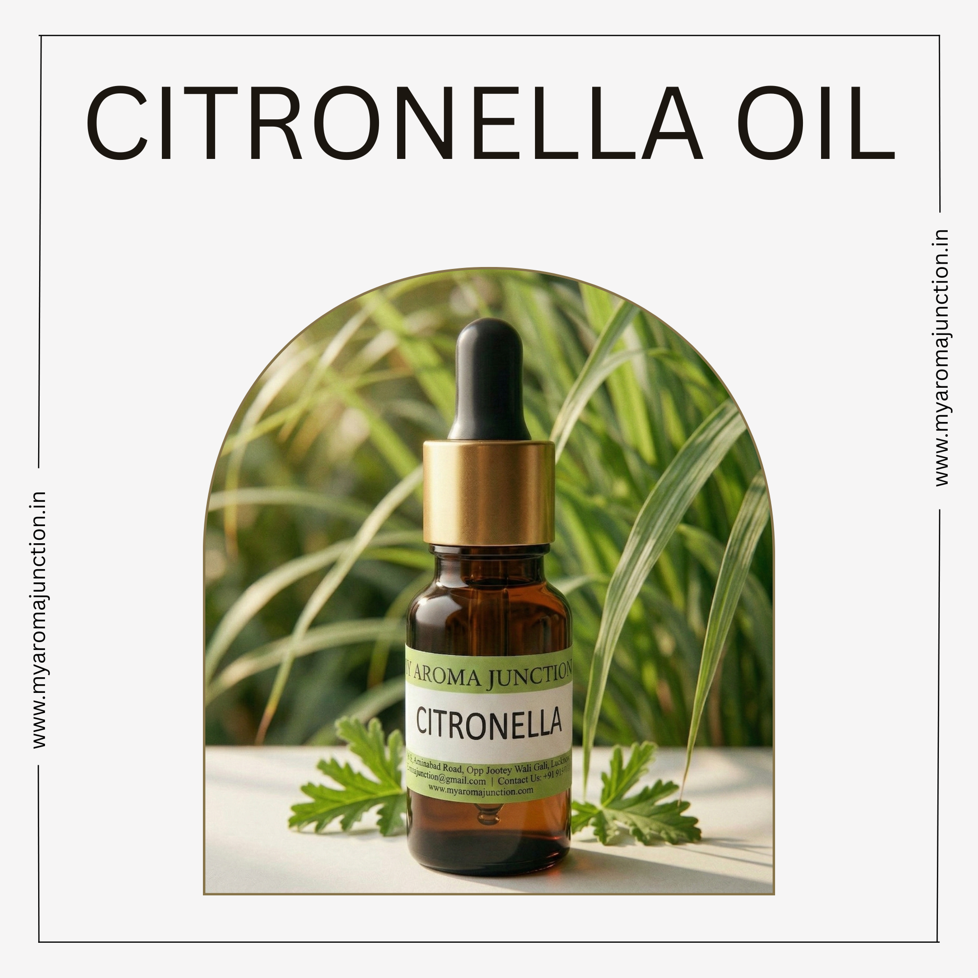 Citronella Essential Oil