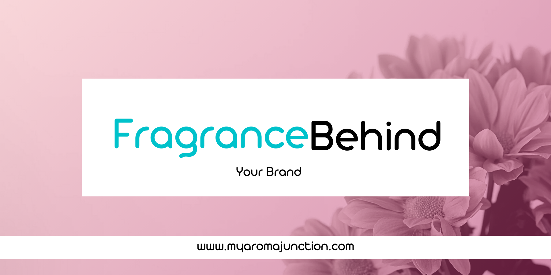 Best perfume shop in Lucknow – MY AROMA JUNCTION