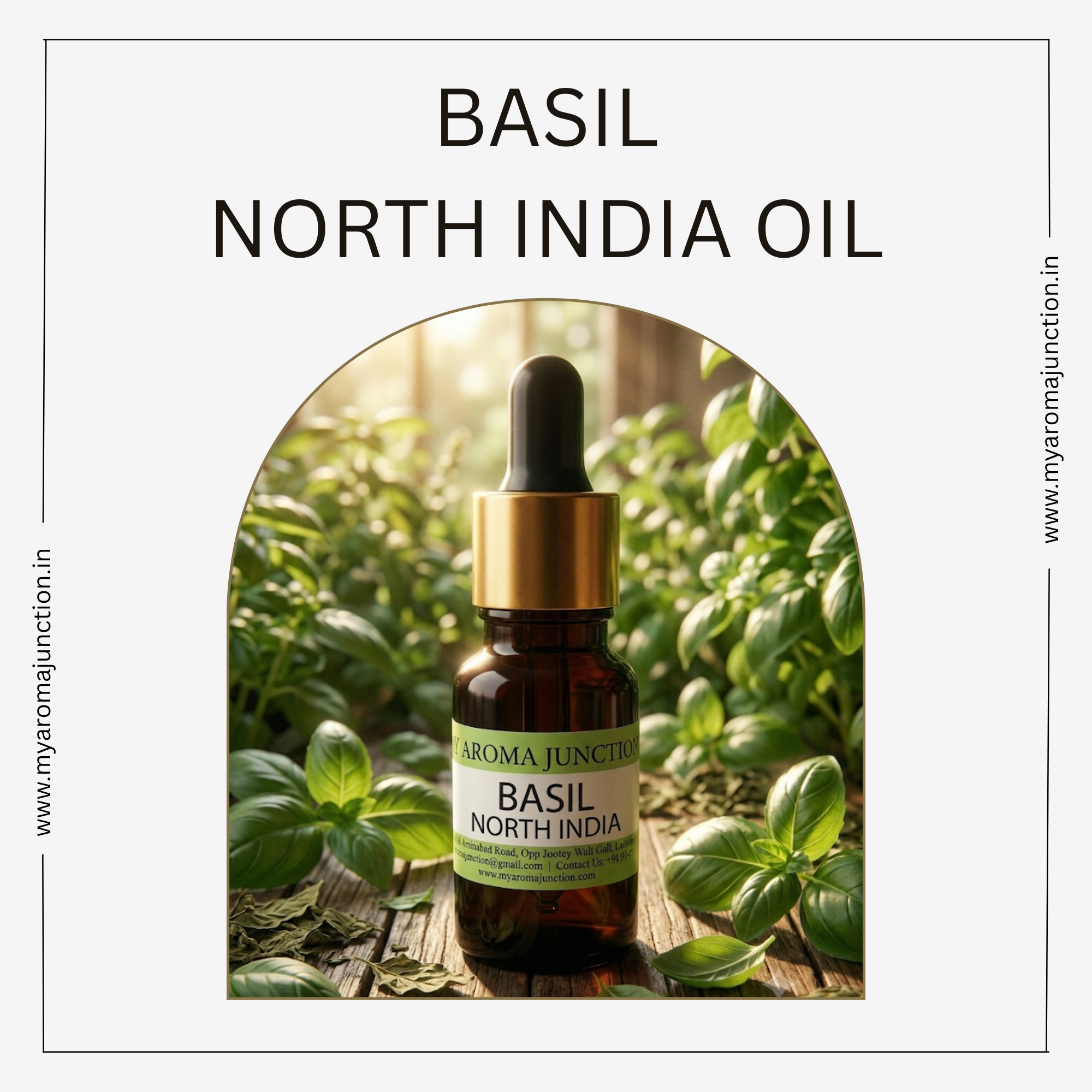 Basil North India Essential Oil