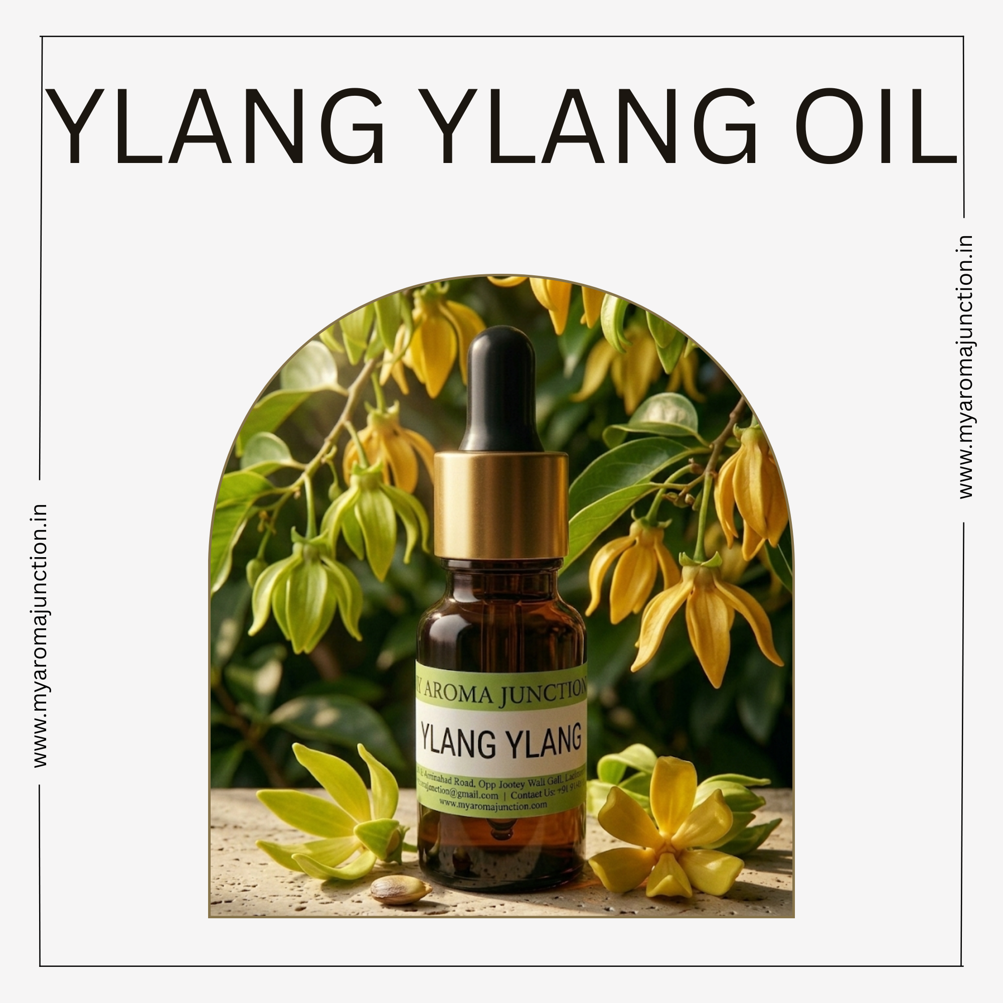 Ylang Ylang Essential Oil